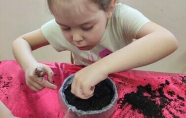 IMG_20240313_093520