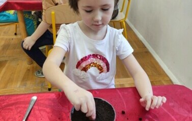 IMG_20240313_093451