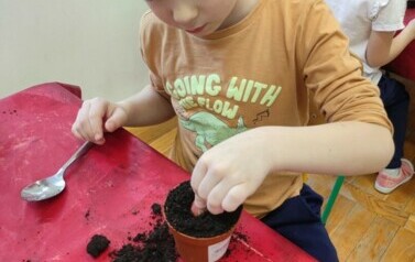 IMG_20240313_093418