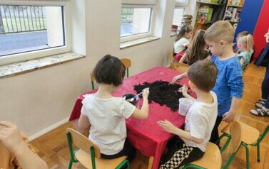 IMG_20240313_093009