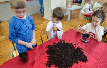 IMG_20240313_092921
