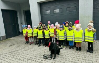 Zdjęcie od Renata(3)