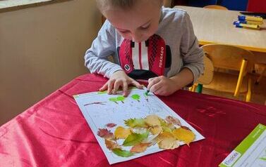 IMG_20231012_100350