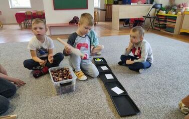 IMG_20231012_094054