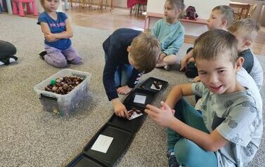 IMG_20231012_093534