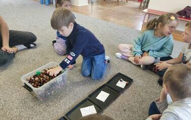 IMG_20231012_093516