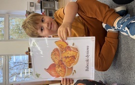 IMG_0273.jpeg