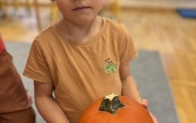IMG_0206.jpeg