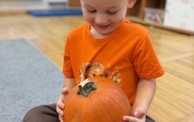 IMG_0203.jpeg