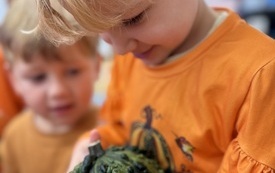IMG_0191.jpeg