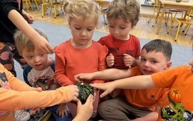 IMG_0184.jpeg