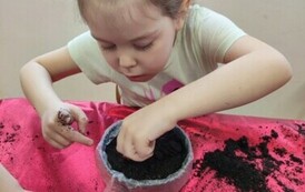 IMG_20240313_093520