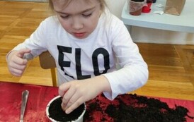 IMG_20240313_093336