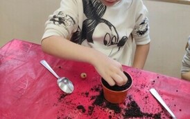 IMG_20240313_093254
