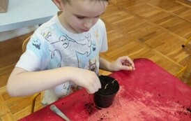 IMG_20240313_093231