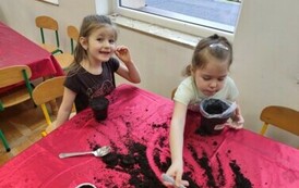 IMG_20240313_093108