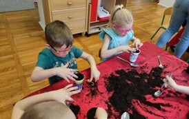 IMG_20240313_093059