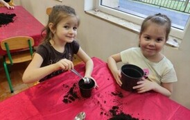 IMG_20240313_092908