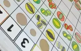 Dot Day z Ozobotami i kodowaniem w Mądrych Kotkach. (10)
