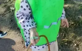 W poszukiwaniu jesieni - Mądre Kotki (6)