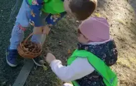 W poszukiwaniu jesieni - Mądre Kotki (4)