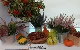 W poszukiwaniu jesieni - Mądre Kotki (17)