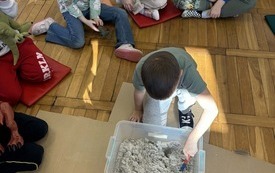 dinozaur (15)