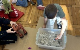 dinozaur (14)