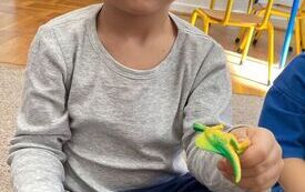 Dzień Dinozaura Misie (47)