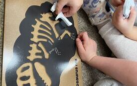 Dzień Dinozaura Misie (37)