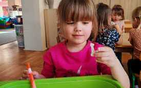Dzień Dinozaura w Sprytnych Liskach (32)