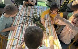 Palmy (6)
