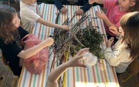 Palmy (10)