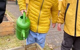 Wesołe Misie zakładają ogr&oacute;dek (32)