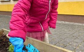 Wesołe Misie zakładają ogr&oacute;dek (12)