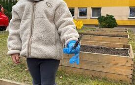 Wesołe Misie zakładają ogr&oacute;dek (8)