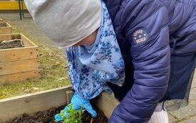 Wesołe Misie zakładają ogr&oacute;dek (4)