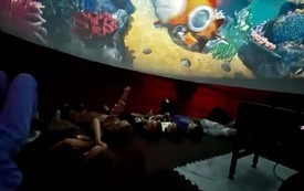 kino (14)