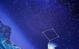 kino (12)