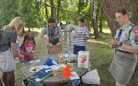 Piknik (3)