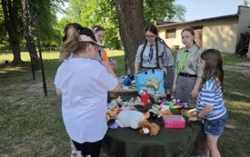 Piknik (1)