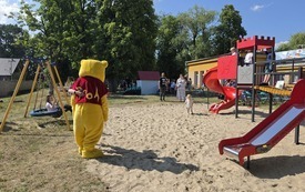 Piknik miś (10)