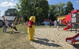 Piknik miś (9)