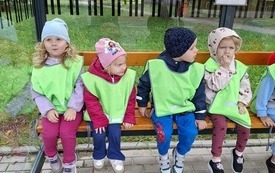 Ruch drogowy (4)